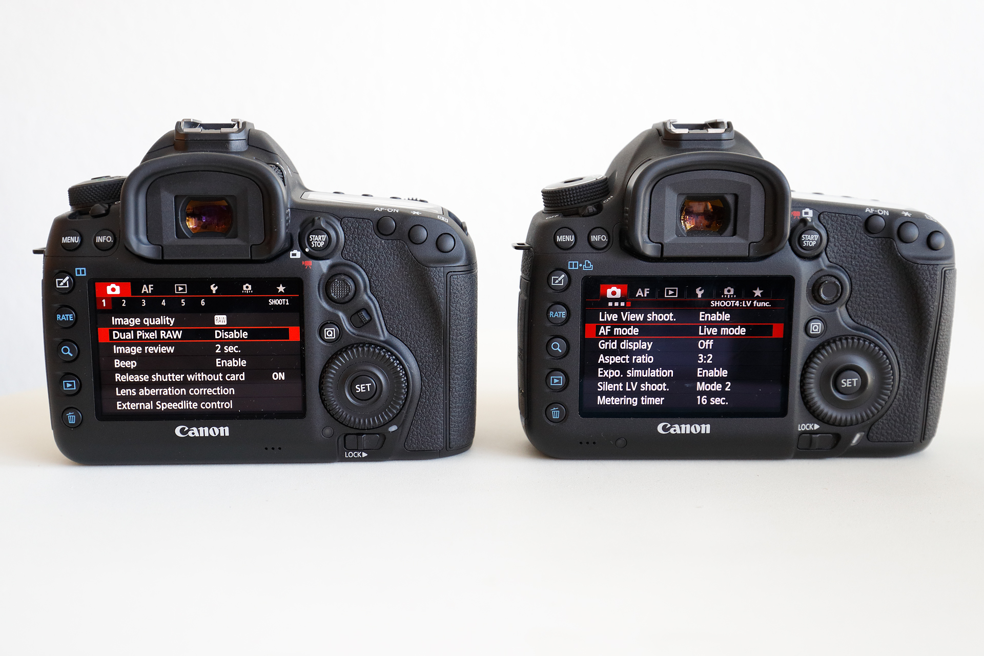 verkiezing Induceren Stamboom Canon 5D Mark IV field review – Ari Hazeghi Photography