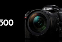 Nikon D500 mini field review