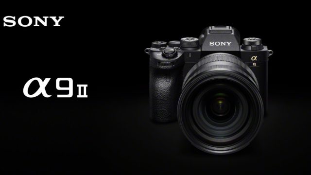 Sony A9 II for BIF, initial impressions and comparison vs. Nikon/Canon