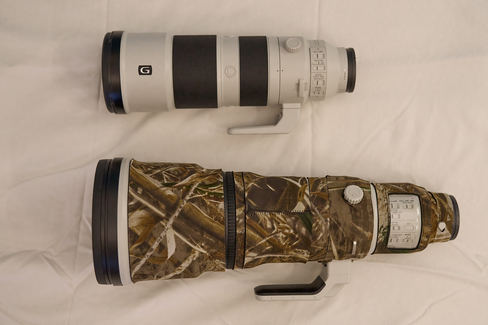 Sony FE 200-600mm f/5.6-6.3 G OSS Review – Ari Hazeghi Photography